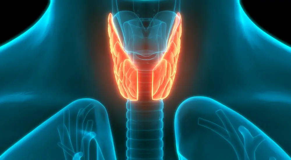 Do you need an advanced thyroid blood test?